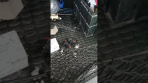 санг ёнг актион ошибки передув-не додув тупрбины