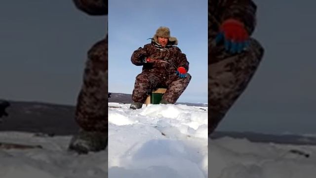 Ловля окуня зимой на блесну. смотреть онлайн