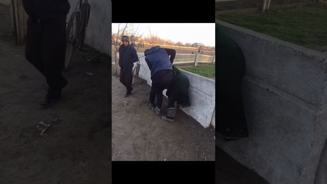 тимати и мс дони смотреть онлайн