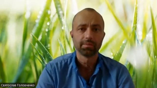 Терпеть или не терпеть в отношениях смотреть онлайн