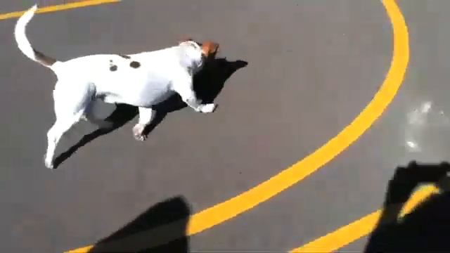 Ferrari - Appcessory смотреть онлайн