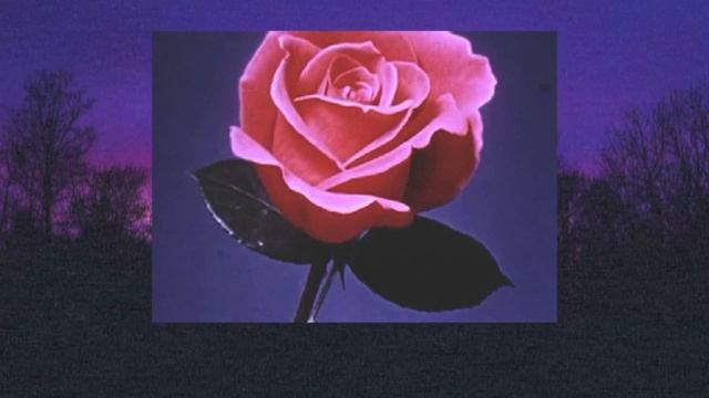 lana del rey - video games (cover) смотреть онлайн