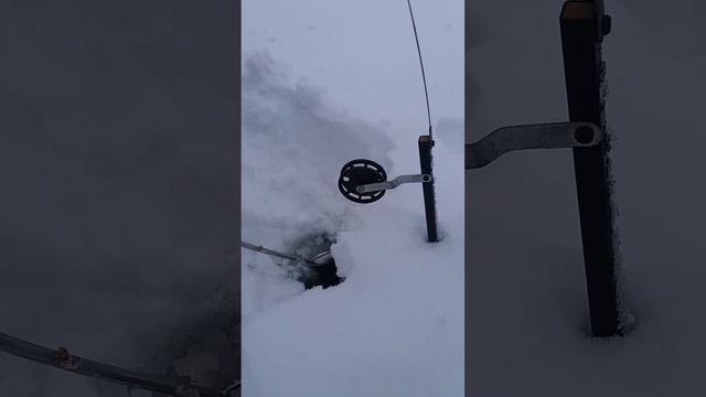 Щука клюёт смотреть онлайн