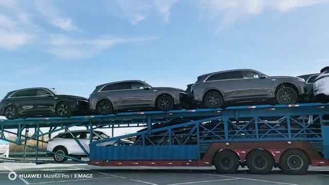 2023年11月6日 смотреть онлайн