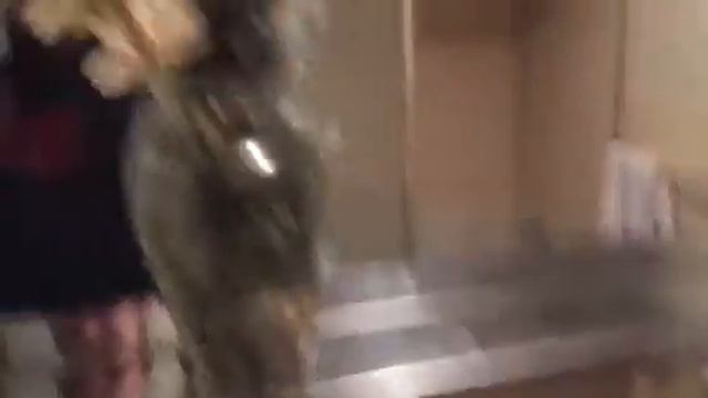 Thieves have not hit this house yet смотреть онлайн