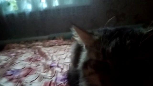 Данкар :) ^ _^ смотреть онлайн
