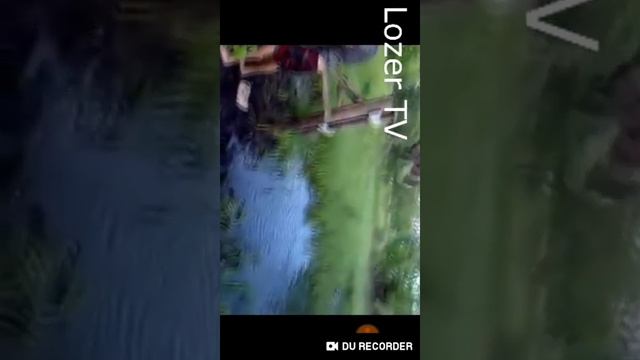 Тест на психику кто засмеялся или улыбнулся ставит лайк и подписывается на канал всё по играм смотреть онлайн
