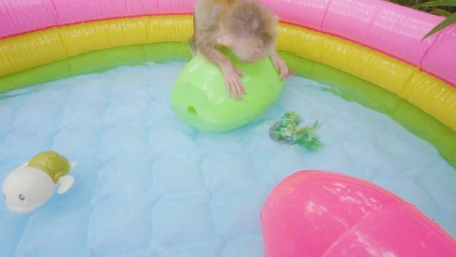 Baby monkey Tom and Jerry drive to the pool and open surprise eggs with ducklings in the garden смотреть онлайн