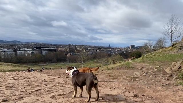 Stella meets Betty at Arthurs Seat, Edinburgh. смотреть онлайн