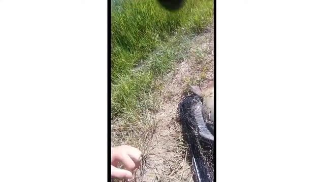 ловля карпа на поплавок смотреть онлайн