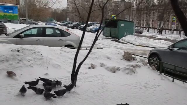 DSCN4280 24 01 2017 Г ОБЫЧНЫЙ ДЕНЬ .... смотреть онлайн