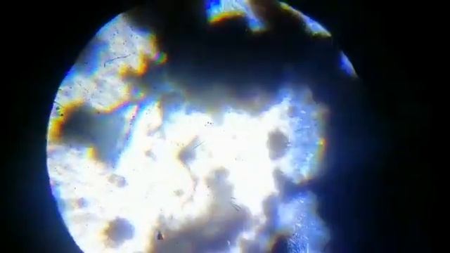 Вода под микроскопом.