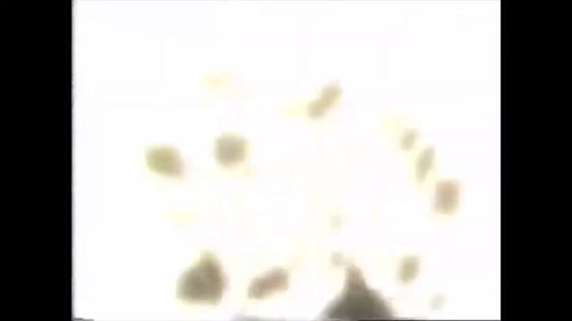 Toonami Midnight Run Lineup Promo Collection (October 1999) смотреть онлайн