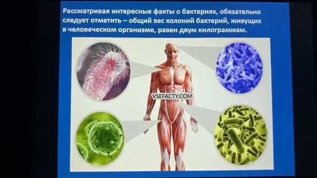 Летняя (дистанционная) онлайн- площадка педагог д/о Милтаева З.С. смотреть онлайн