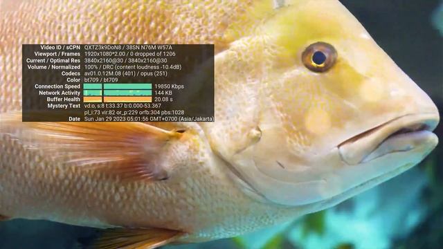 Review On Screen Custom Firmware Advan AT01/Akari AX810 Amlogic S905X4 смотреть онлайн