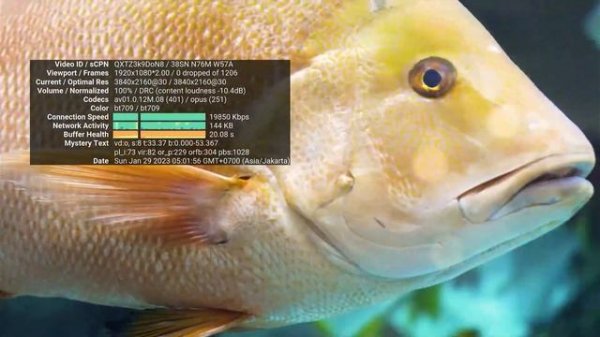 Review On Screen Custom Firmware Advan AT01/Akari AX810 Amlogic S905X4