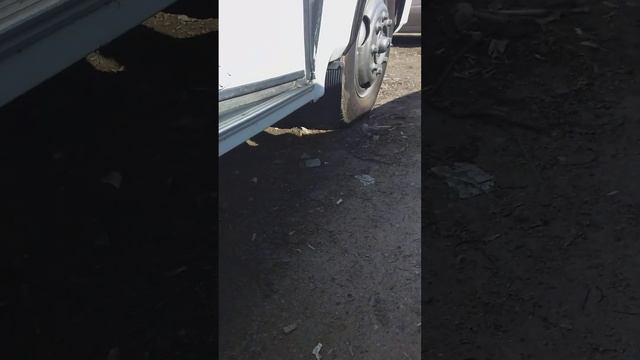ПАЗ 4234 2016 Года Кузов и работа мотора 31.03.2023 смотреть онлайн