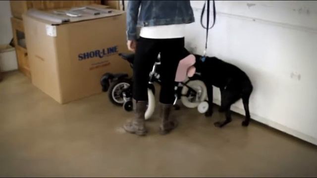 Untitled video смотреть онлайн