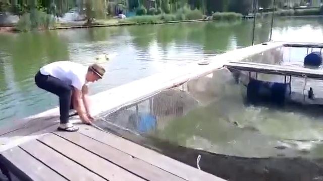 Дополнительное зарыбление. смотреть онлайн