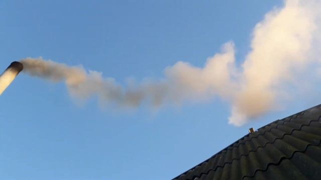 Чясть4 Топим котёл Кустами от памидор Украина смотреть онлайн