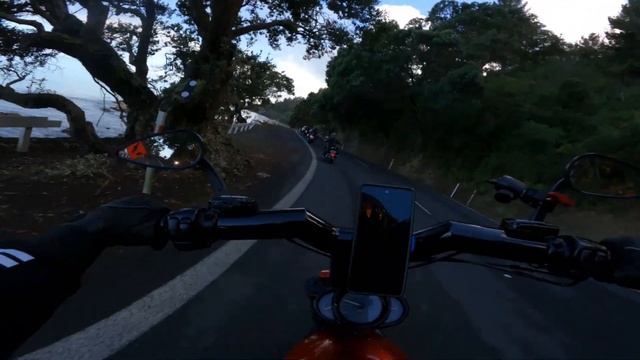 The Coromandel loop is absolutely BEAUTIFUL смотреть онлайн