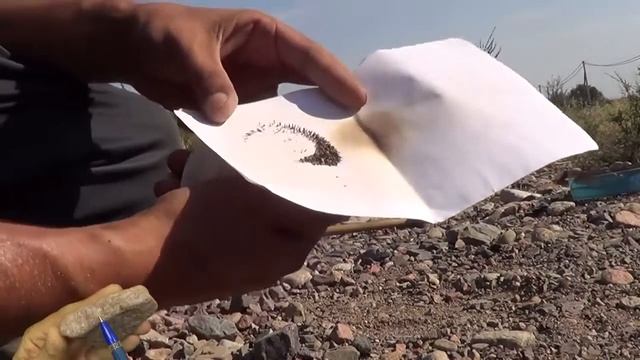 Черный шлих на белой бумаге смотреть онлайн