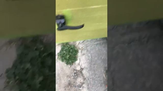 Как устроена рулевая на москвиче? смотреть онлайн