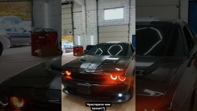 Женя купил себе Додж паша пел накажет на нем ганибала #pasha #bgmi смотреть онлайн