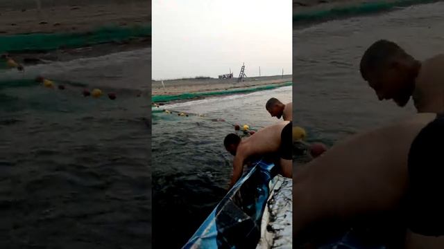 рыбалка на острове Чкалова 2019года смотреть онлайн