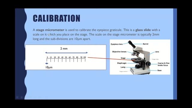Microscope calibration смотреть онлайн