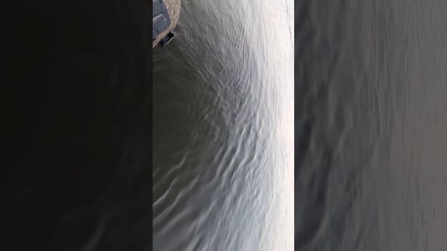 судак на крупную резину, джиг! смотреть онлайн