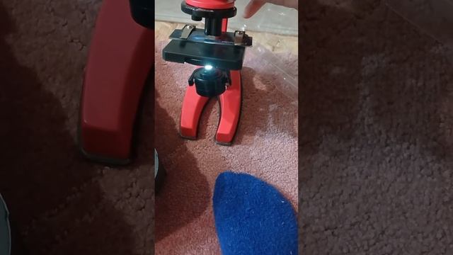 Обзор детского микроскопа