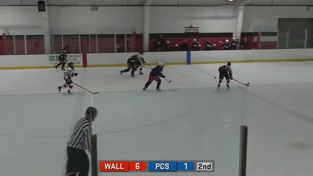 Plymouth-Canton-Salem Women's Hockey vs Walled Lake 3/1/24 MGHSHL Playoffs смотреть онлайн