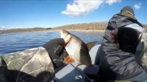 Весенняя ловля плотвы