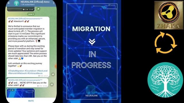 NEURALINK NETWORK WEBSITE MAIGRATION PROCESS START