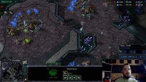 Профессиональный билд старкрафт 2. зерги гайд против террана . Старкрафт 2 TED