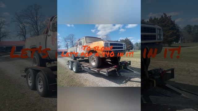 1979 Dodge Power Wagon in FH5???? смотреть онлайн