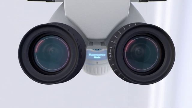 Zeiss - Extaro V47 H264 HQ