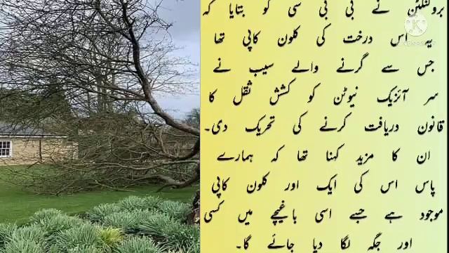 The apple tree that fell on Newton's head also fell смотреть онлайн