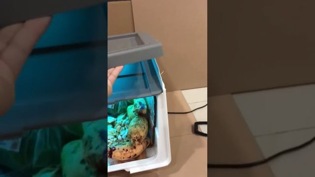 UV Sterilisasi Box / Box Uv смотреть онлайн