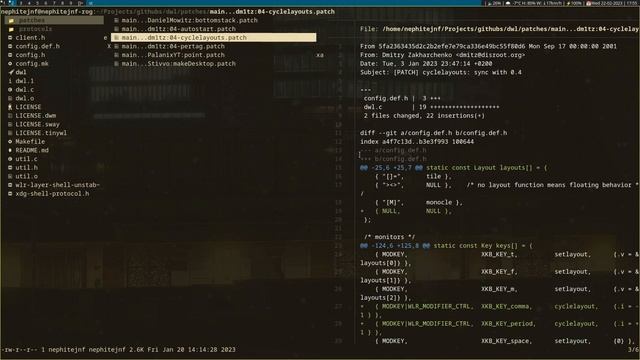 DWM but on Wayland, A Basic Rice and Some Shortcomings, More to Come смотреть онлайн