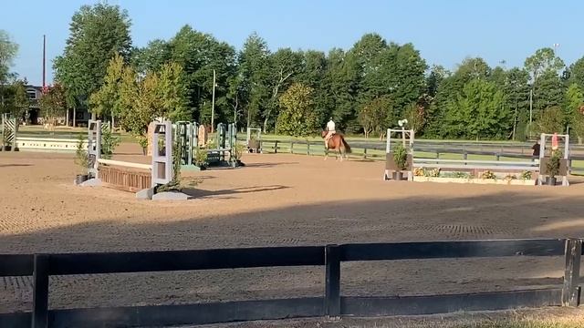 Bravo-medium pony round смотреть онлайн