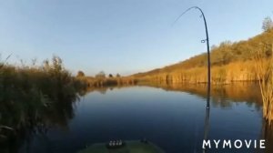 Октябрь.Огромная Щука  на спининг.