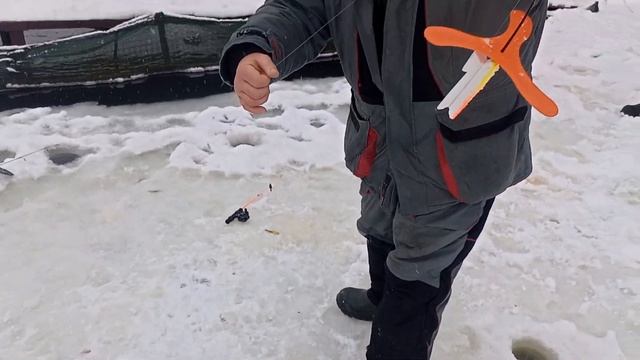 Светлые Горы Форель 14.02.2023 смотреть онлайн
