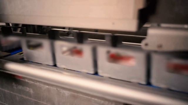 Серволюкс - международный агропромышленный холдинг