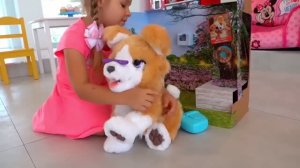 Диана и Рома Диана и смешная игрушечная собачка