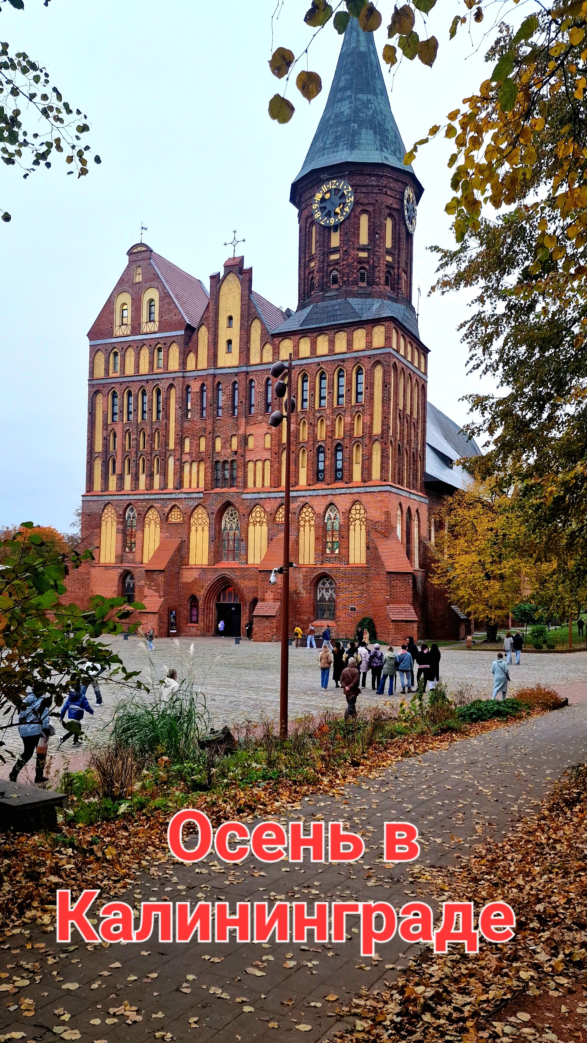 Из Германии в Россию.  Наша жизнь в Калининграде.  Осенний Калининград.
