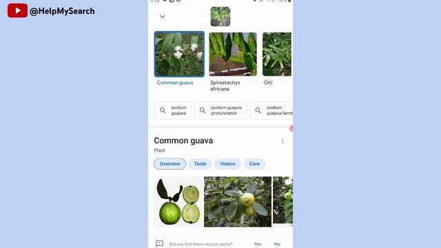Google Lens Kaise Use Kare | How to Use Google Lens on Android | Google Lens All Features 2024 смотреть онлайн