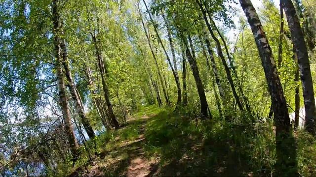 Нарские пруды смотреть онлайн