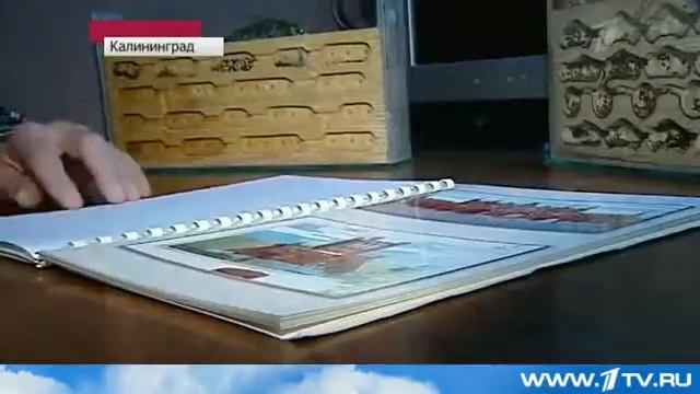 Муравьиная ферма